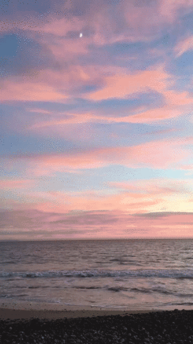Malibu Sunset Lily Diamond