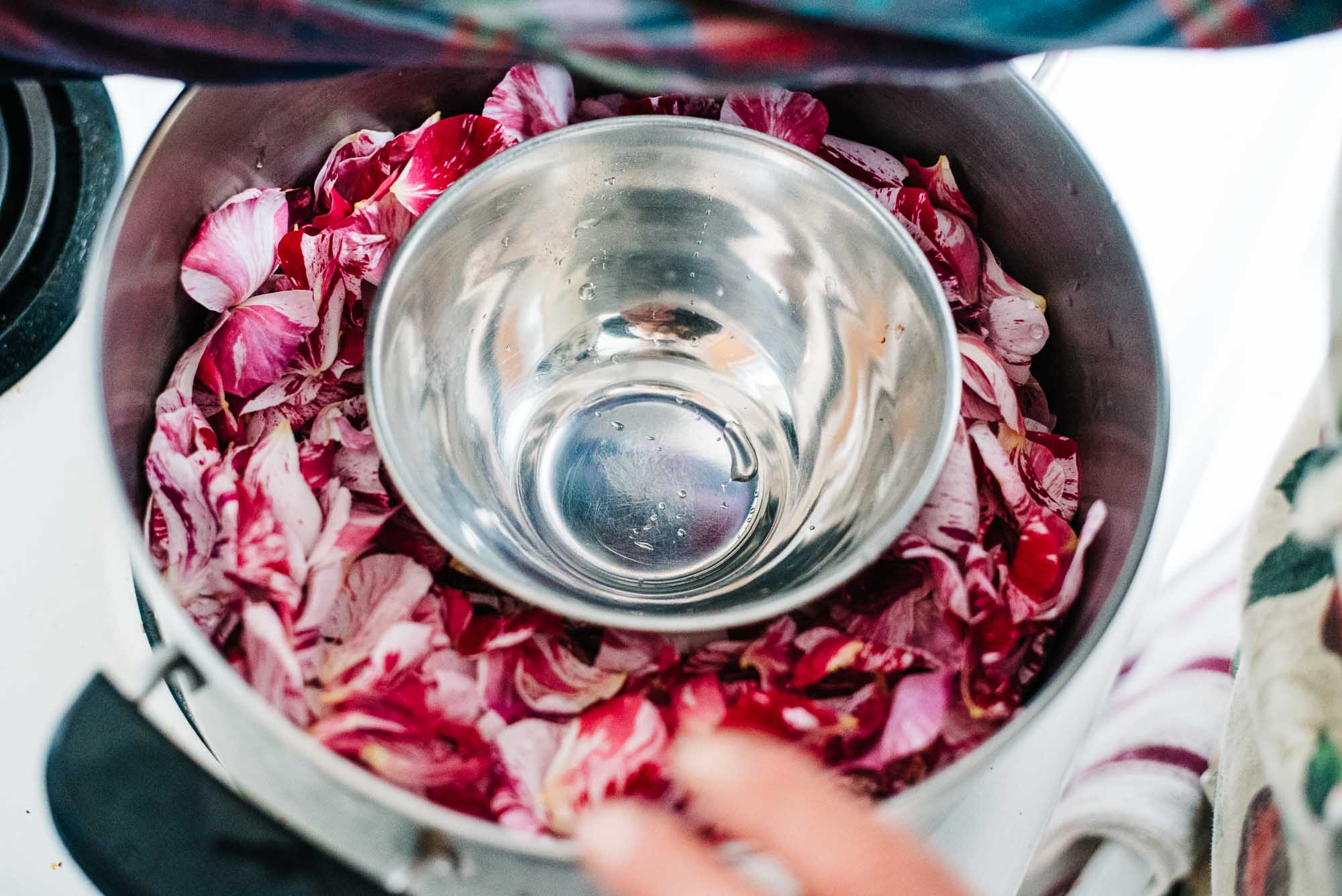 Homemade Rosewater on Vancouver Island