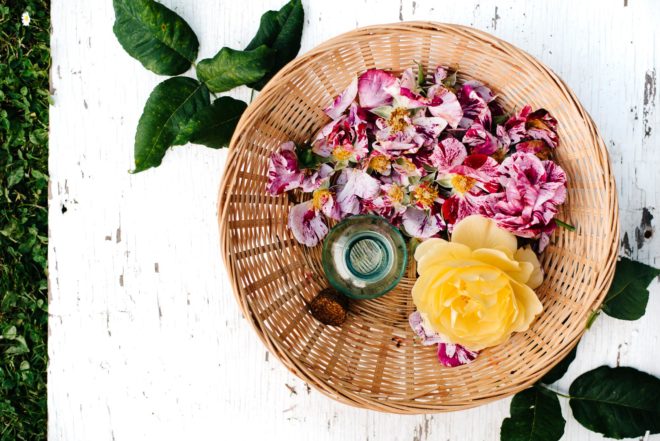 Homemade Rosewater on Vancouver Island