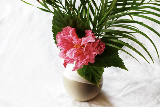pink hibiscus vase maui