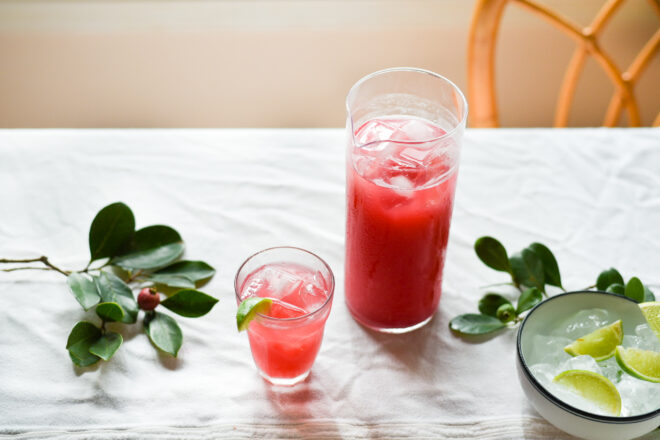 Wild Fermented Strawberry Guava Soda